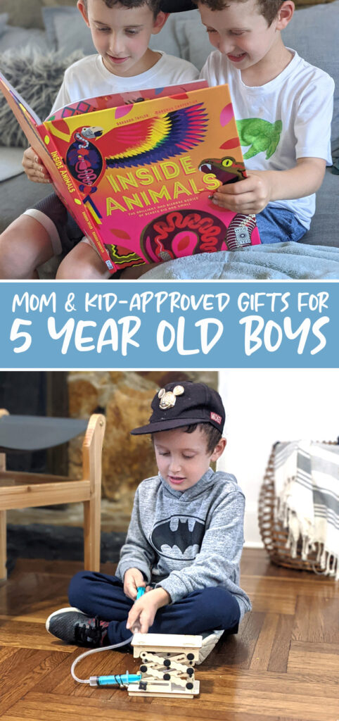 Five Year Old Boy Birthday Gift Ideas